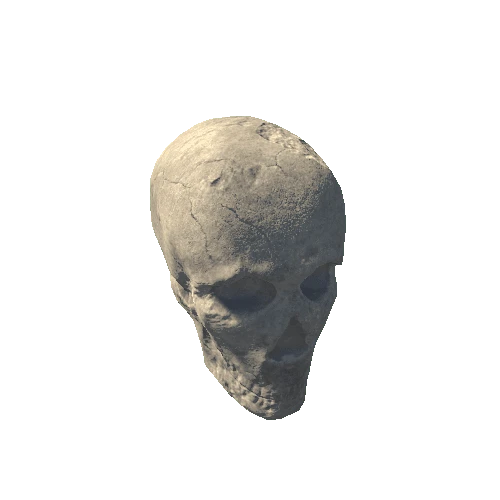 Skull 1A2
